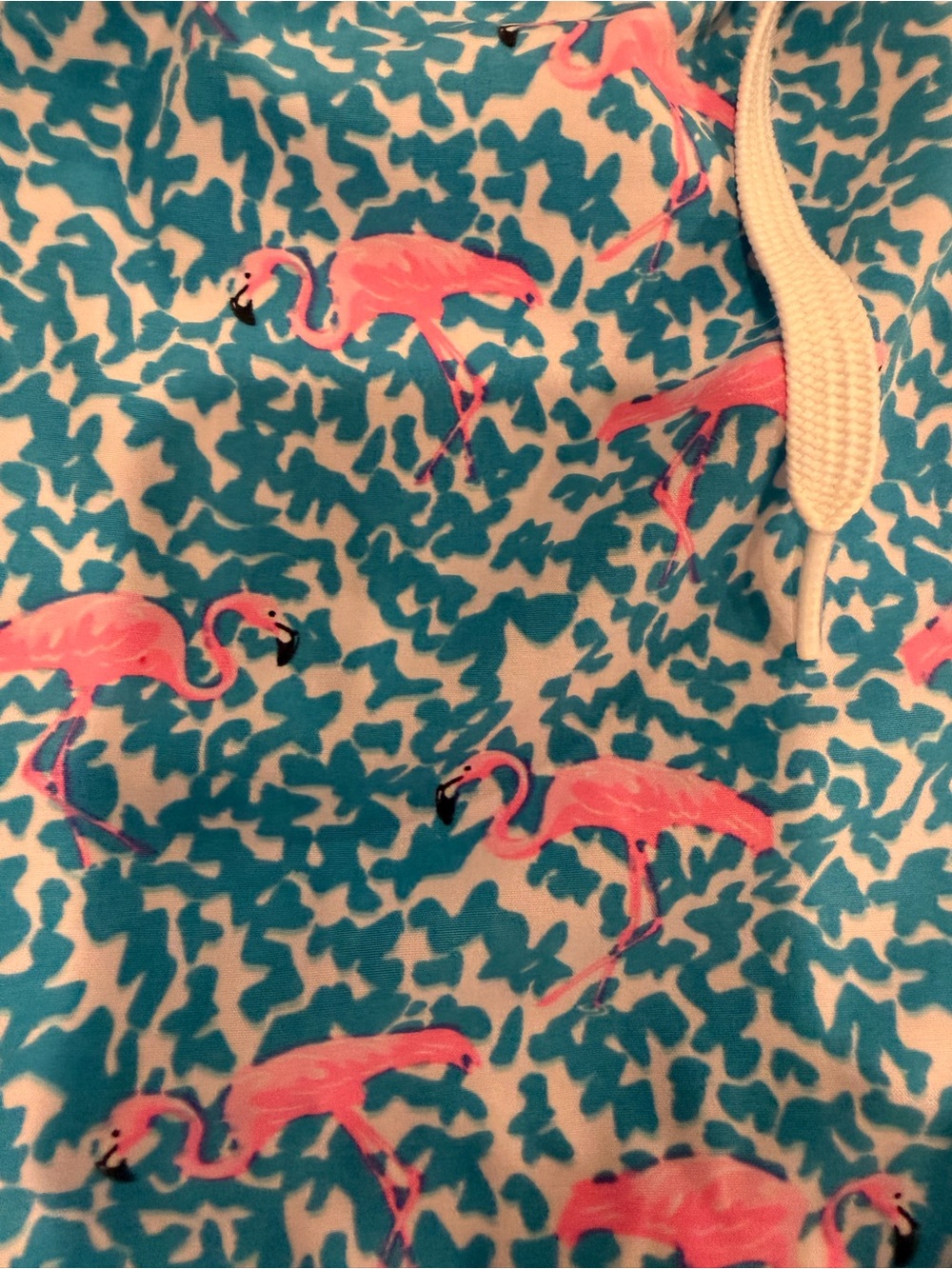 2 Chubbies swim trunks, size small youth 8/9 - Picture 2 of 6